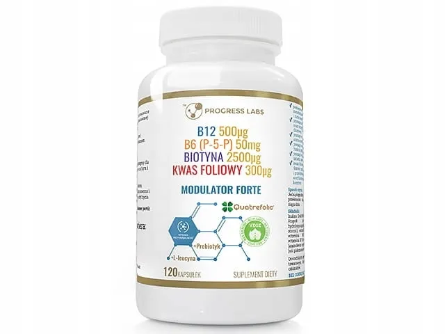 b12-b6-biotyna-folian-modulator-forte-120-kaps-progress-labs