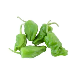 papryka-padron-zielona-ok-200-g