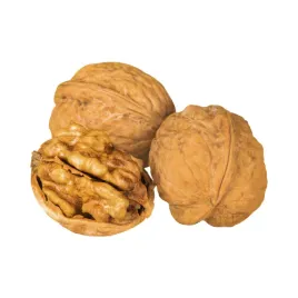 orzechy-wloskie-w-lupinie-ok-500-g