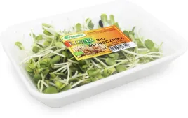 kielki-slonecznika-ok-50-g-bio