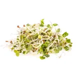 kielki-lucerny-ok-200-g-bio