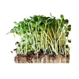 kielki-mix-ok-200-g-bio