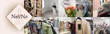 bielizna-damska-biustonosz-mama-basic-lilly-biustonosz-mama-basic-lilly-s-g-marka-mitex-wzor-dominujacy-inny-wzor