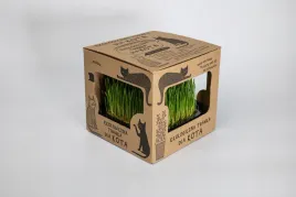 ekologiczna-trawka-dla-kota