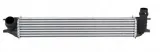 renault-lattude-2010-intercooler-3-0-dci
