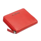 greg45203-marka-pierre-cardin