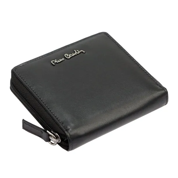 greg45173-marka-pierre-cardin