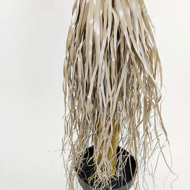 jukka-rostrata-90cm-wysokosc-90-cm