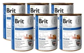 brit-gf-veterinary-diets-recovery-salmon-6x400g-karma-mokra-dla-psa-i-kot