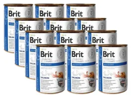 brit-gf-veterinary-diets-recovery-salmon-12x400g-karma-mokra-dla-psa-i-ko
