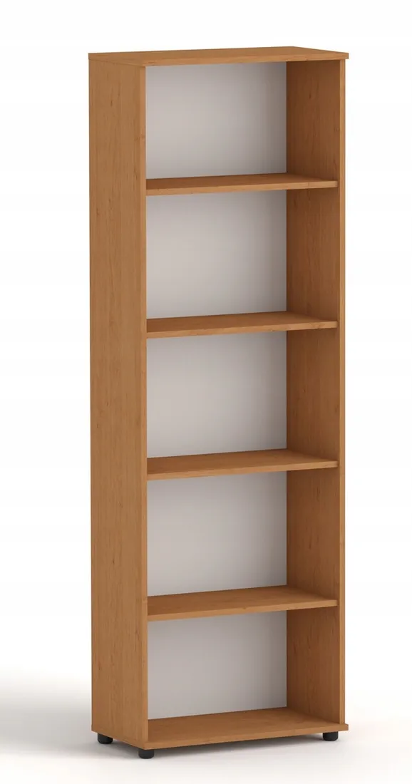 regal-g-60-olcha-stan-nowy