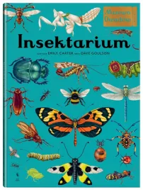 insektarium-muzeum-owadow-w-muzeum-dave-goulson