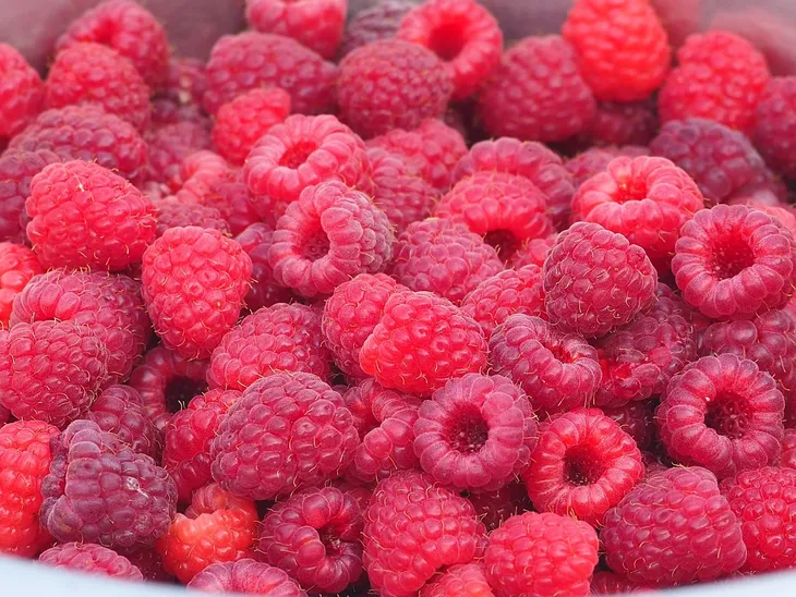 malina-czerwona-jesienna-2l-producent-szkolka-pnaczy-marek-wedrowski