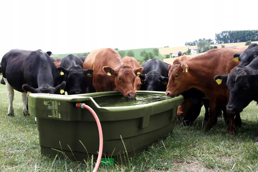 poidlo-pastwiskowe-1000l-kerbl-stan-nowy