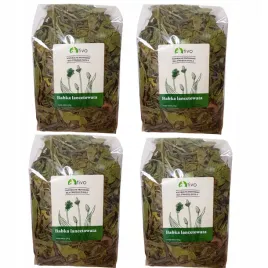 przysmak-dla-gryzonia-krolika-babka-lancetowata-150g-x-4szt