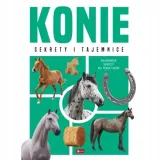 konie-2025-willman-anna-dragon