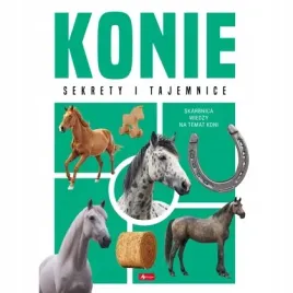konie-2025-willman-anna-dragon