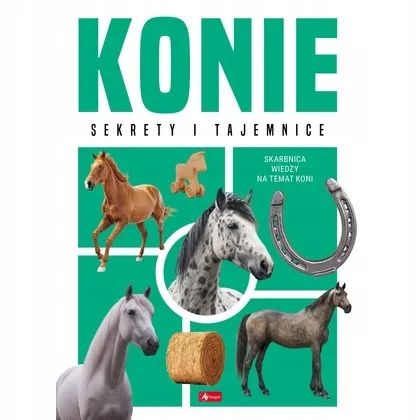 konie-2025-willman-anna-dragon
