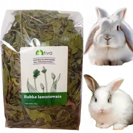 przysmak-dla-gryzonia-krolika-babka-lancetowata-150g