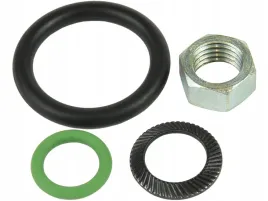 zestaw-naprawczy-wtryskiwacza-brc-starego-typu