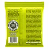 ernie-ball-2221-10-46-regular-slinky-stan-nowy