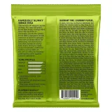 ernie-ball-2221-10-46-regular-slinky-stan-nowy-kod-producenta-2221