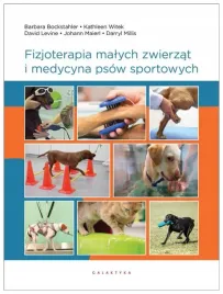 fizjoterapia-malych-zwierzat-i-medycyna-psow