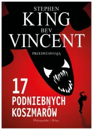 17-podniebnych-koszmarow-s-king-b-vincent