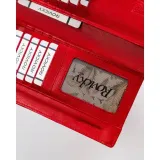 r861ddw-marka-rovicky