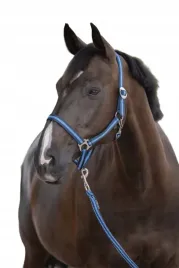 kantar-dla-konia-covalliero-hippo-granatowy-niebieski-pony