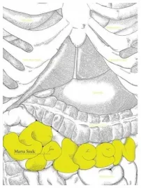 spleen-marta-szulc