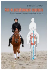 kon-w-pozytywnym-napieciu-stefan-stammer