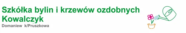 floks-flame-purple-eye-phlox-paniculata-p9-styl-ogrod-skalny-ogrod-japonski-ogrod-wiejski-ogrod-nowoczesny-ogrod-srodziemnomorski