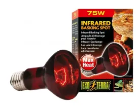 exo-terra-zarowka-grzewcza-infrared-basking-spot-r20-75w-do-terrarium