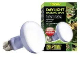 exo-terra-zarowka-daylight-basking-spot-r25-100w-do-terrarium