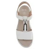 123351504-kod-producenta-123351504-marka-ara