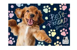 derform-podklad-oklejany-cleo-i-frank-44-pies