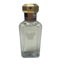 versace-the-dreamer-100ml-flakon