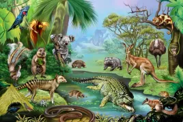 fototapeta-dzungla-przygody-malych-podroznikow-koala-kangur-krokodyl-papuga