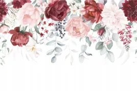 fototapeta-malowane-kwiaty-piwonii-na-bialym-tle