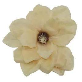 magnolia-wyrobowa-sloneczna-6-szt