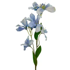 liliowiec-pojedynczy-blekitny
