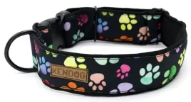 kendog-kolorowe-lapki-obroza-m-3cm-41-66cm