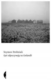 gesi-odpoczywaja-na-gotlandii-szymon-drobniak