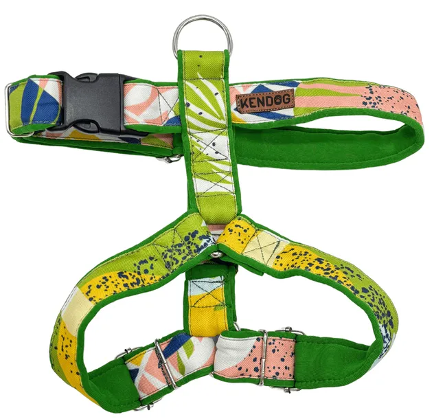 kendog-spring-szelki-guard-s-2cm-35-50cm-stan-nowy