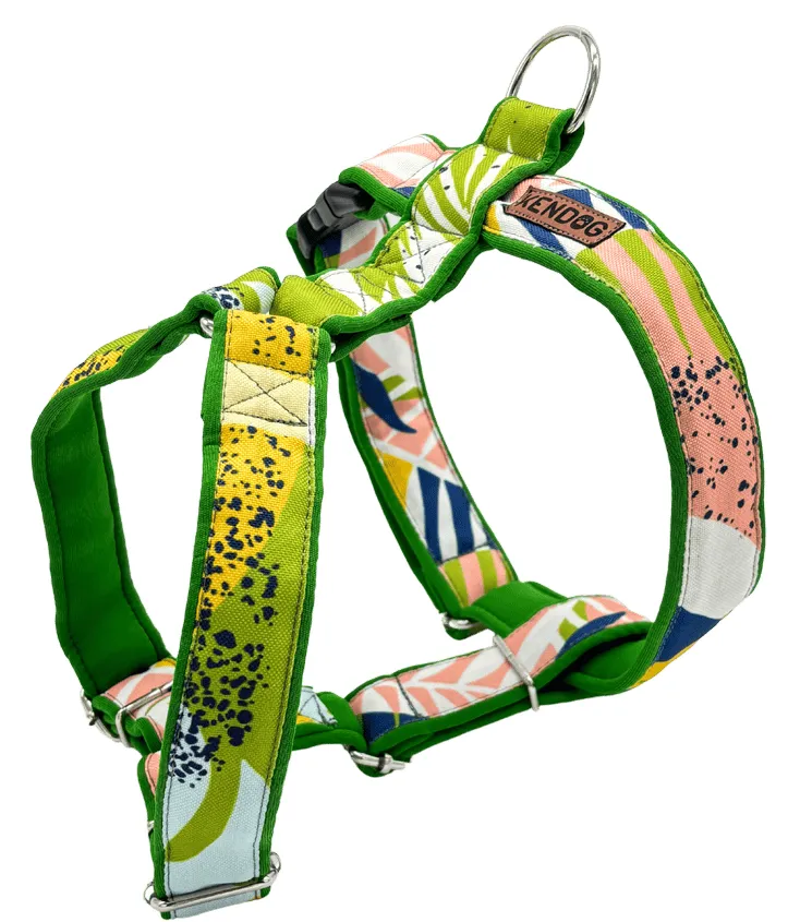 kendog-spring-szelki-guard-l-3cm-60-90cm