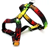 kendog-reggae-szelki-guard-m-3cm-45-65cm