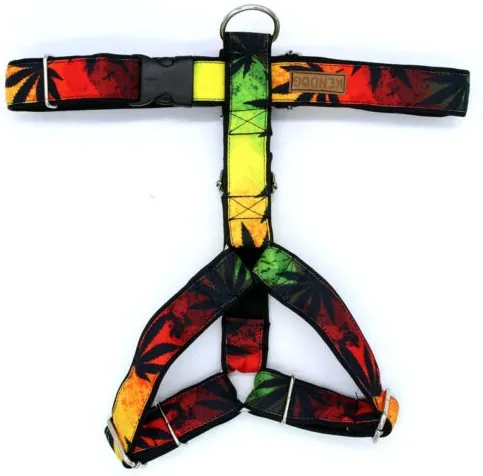 kendog-reggae-szelki-guard-m-3cm-45-65cm-stan-nowy