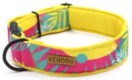 kendog-wakajki-obroza-m-4cm-41-66cm
