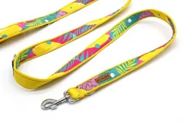 kendog-wakajki-smycz-200cm-3cm